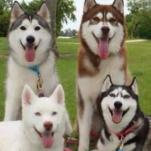 Meet your Posher, Ignacio